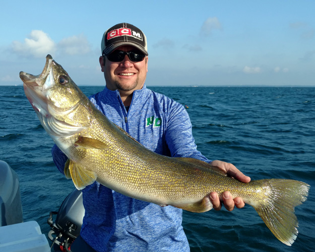 Lake Erie Walleye