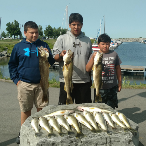 Lake Erie Walleye