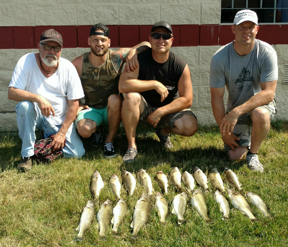 Lake Erie Walleye