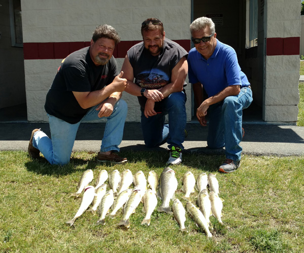 Lake Erie Walleye Charters