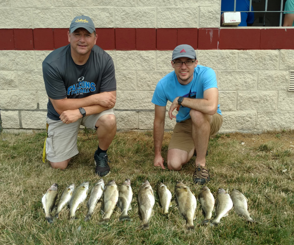 Lake Erie Walleye