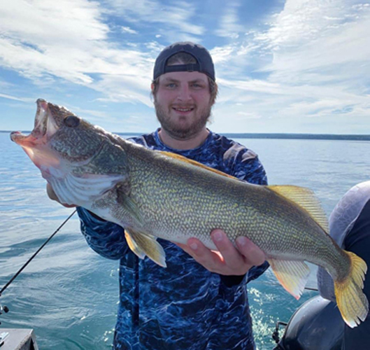 Lake Erie Walleye