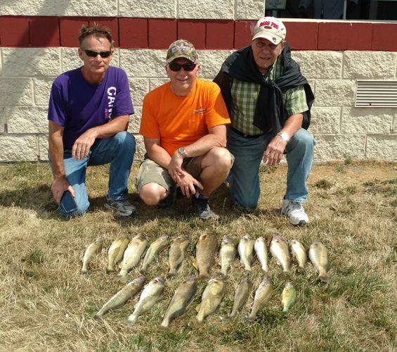 Lake Erie Walleye Charters