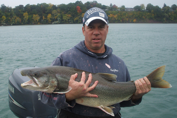 Lake Trout