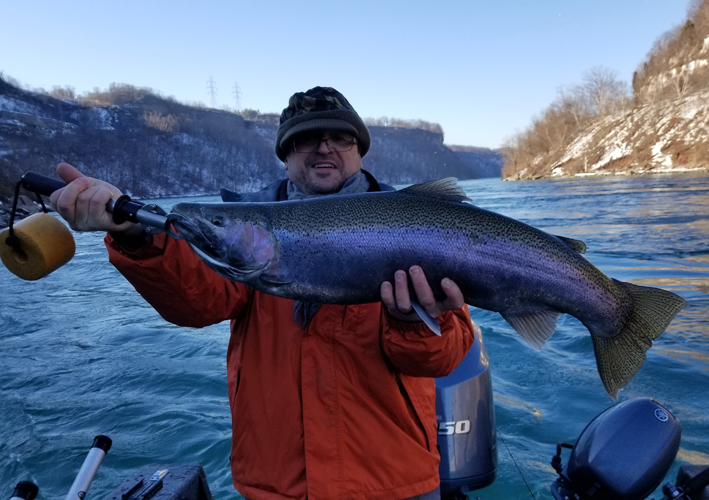 Niagara River Steelhead