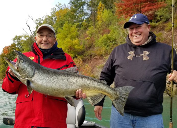 Niagara River King Salmon