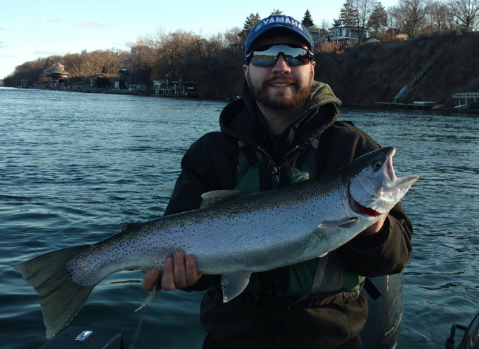 Steelhead