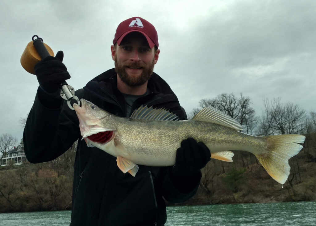 Niagara River Walleye 2019 fishing photos