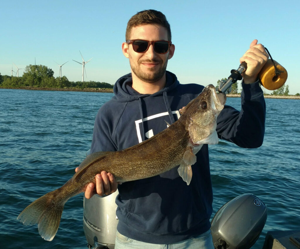 Lake Erie Walleye 2019 fishing photos