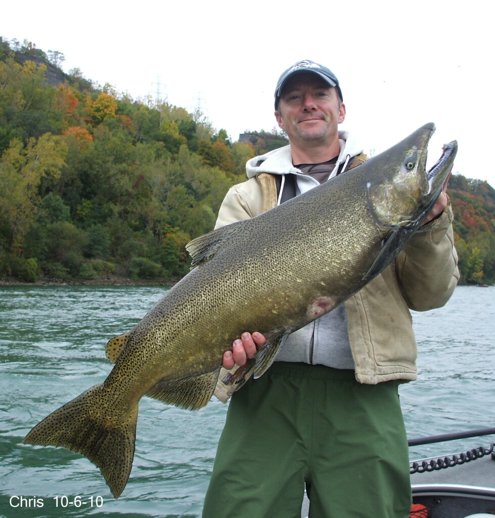 Niagara River Salmon Monster Fish Photos