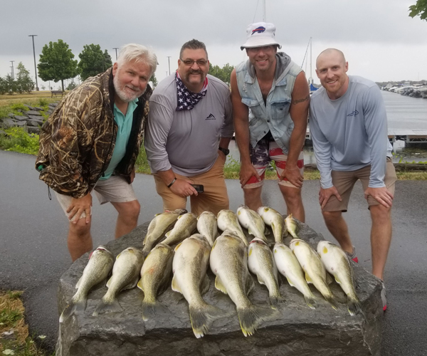 Lake Erie Walleye