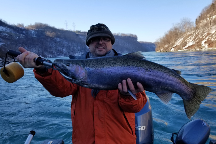 Niagara River Steelhead Schultz Sportfishing Home