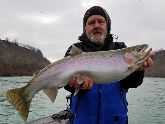 Niagara River Steelhead Schultz Sportfishing Home