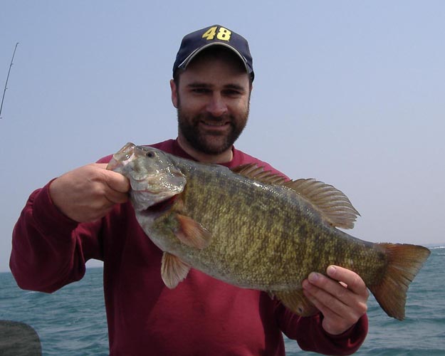 Lake Erie Smallmouth Bass Schultz Sportfishing Home