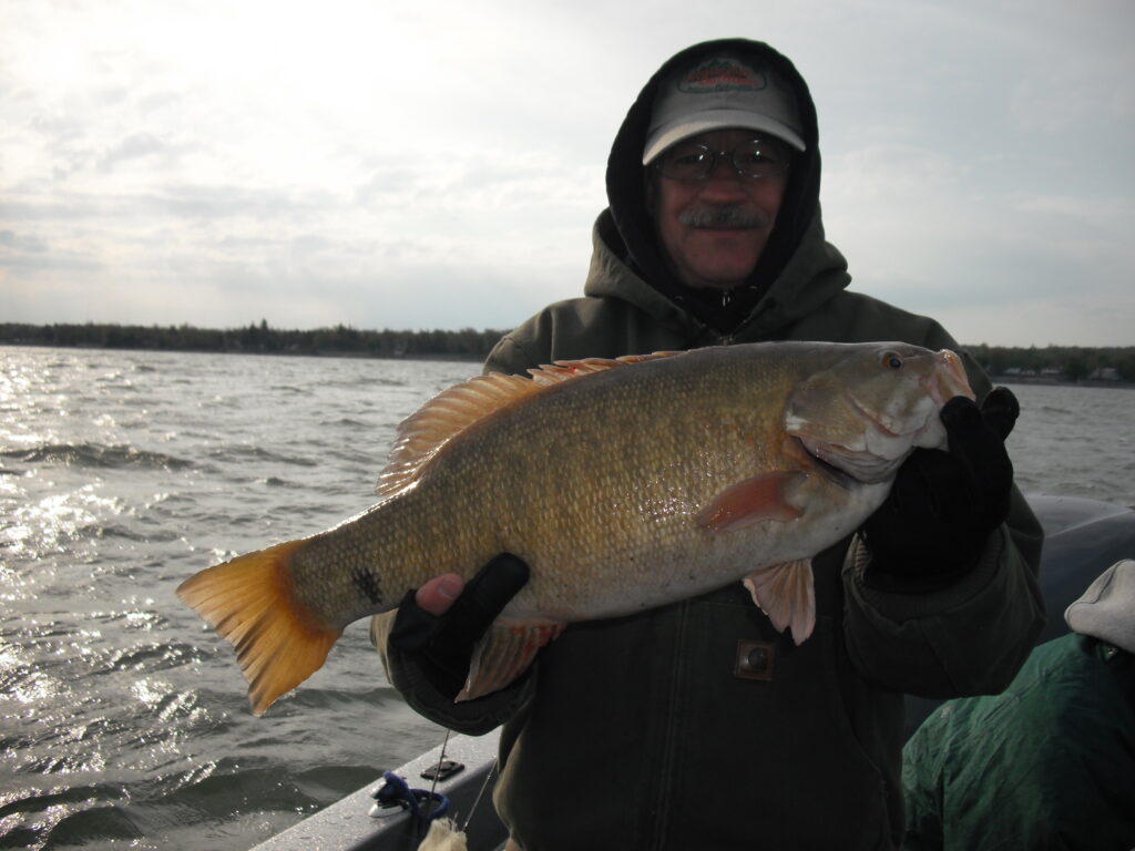 Lake Erie Smallmouth Bass Monster Fish Photos