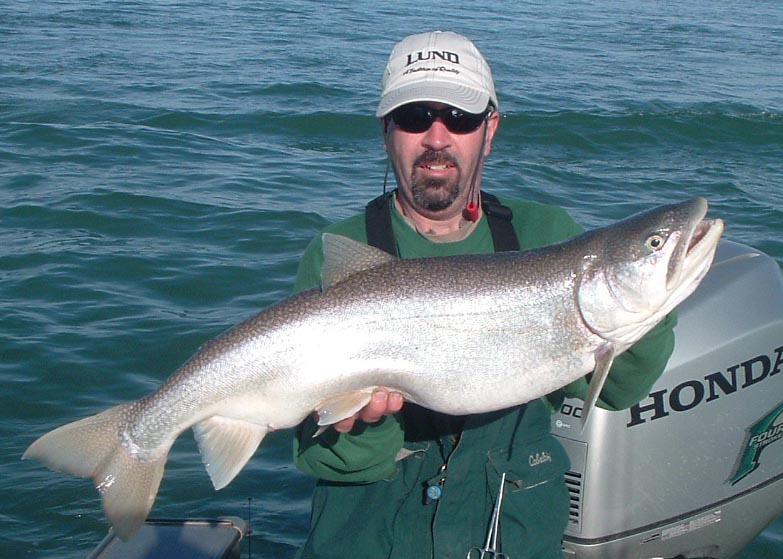 Lake Trout Monster Fish Photos