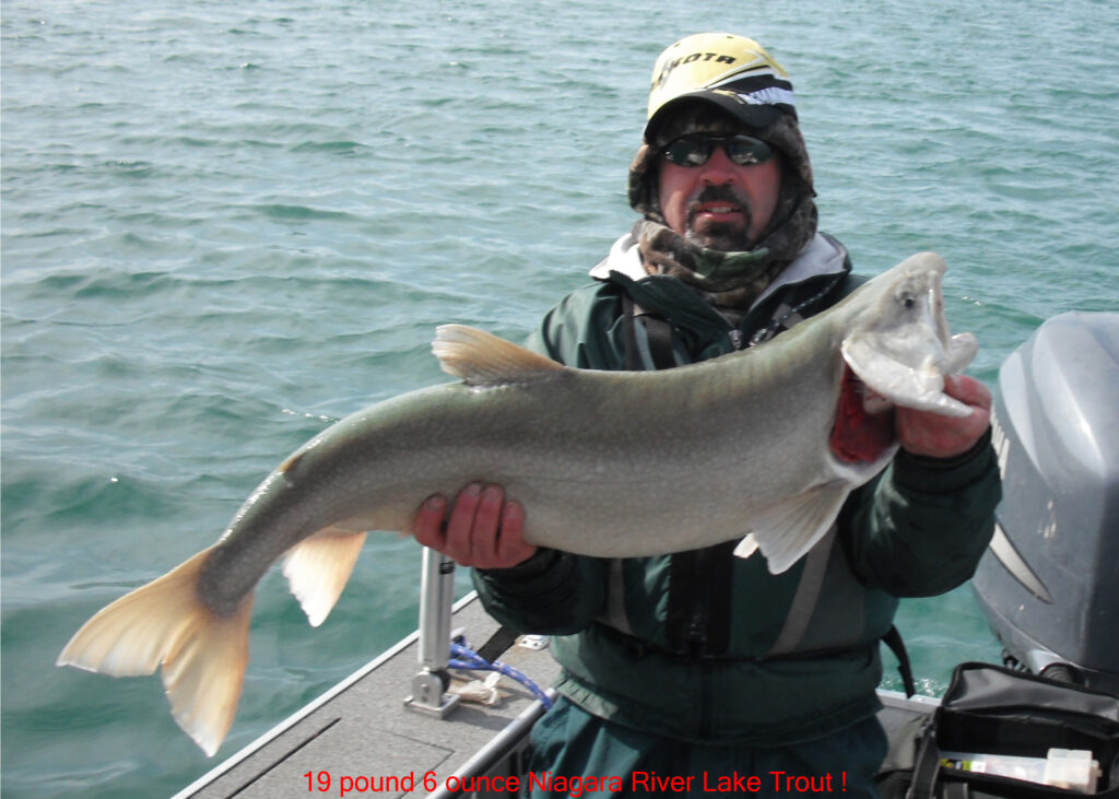 Lake Trout Monster Fish Photos