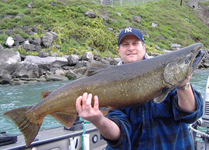 Niagara River Salmon