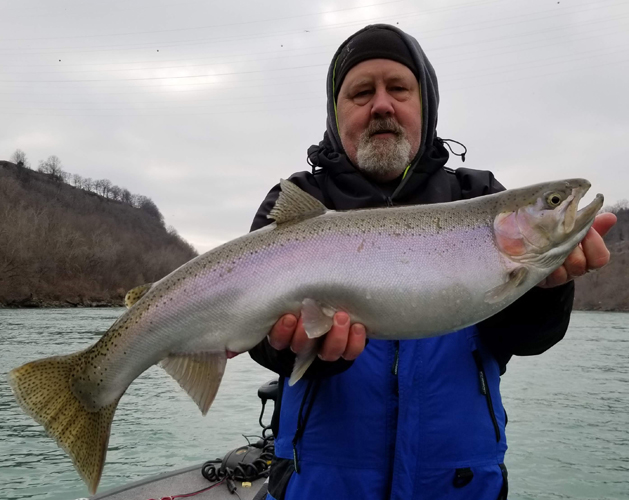 Niagara River Steelhead Charter Fishing Rates