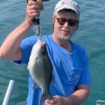 Lake Erie White Bass
