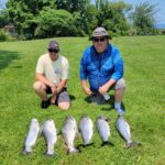 2024 Schultz Sportfishing Photo of a Lake Ontario Salmon Limit