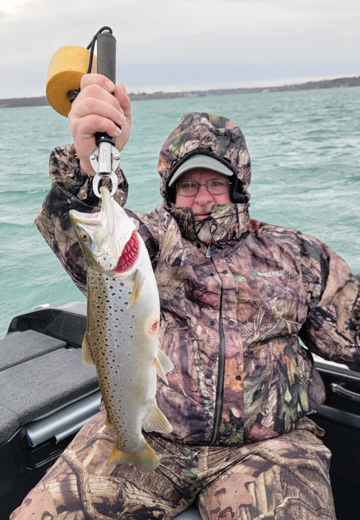 Niagara River Brown Trout