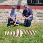 L2024 Schultz Sportfishing Picture of Lake Erie Walleye