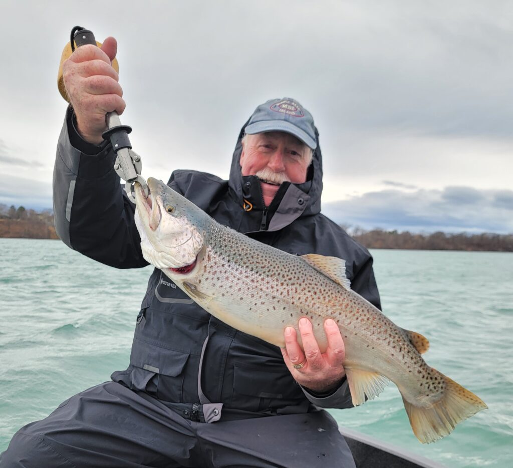 2024 Schultz Sportfishing Picture of a Niagara River Brownie