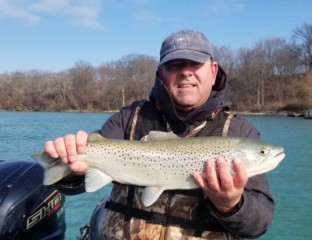 Niagara River Brown