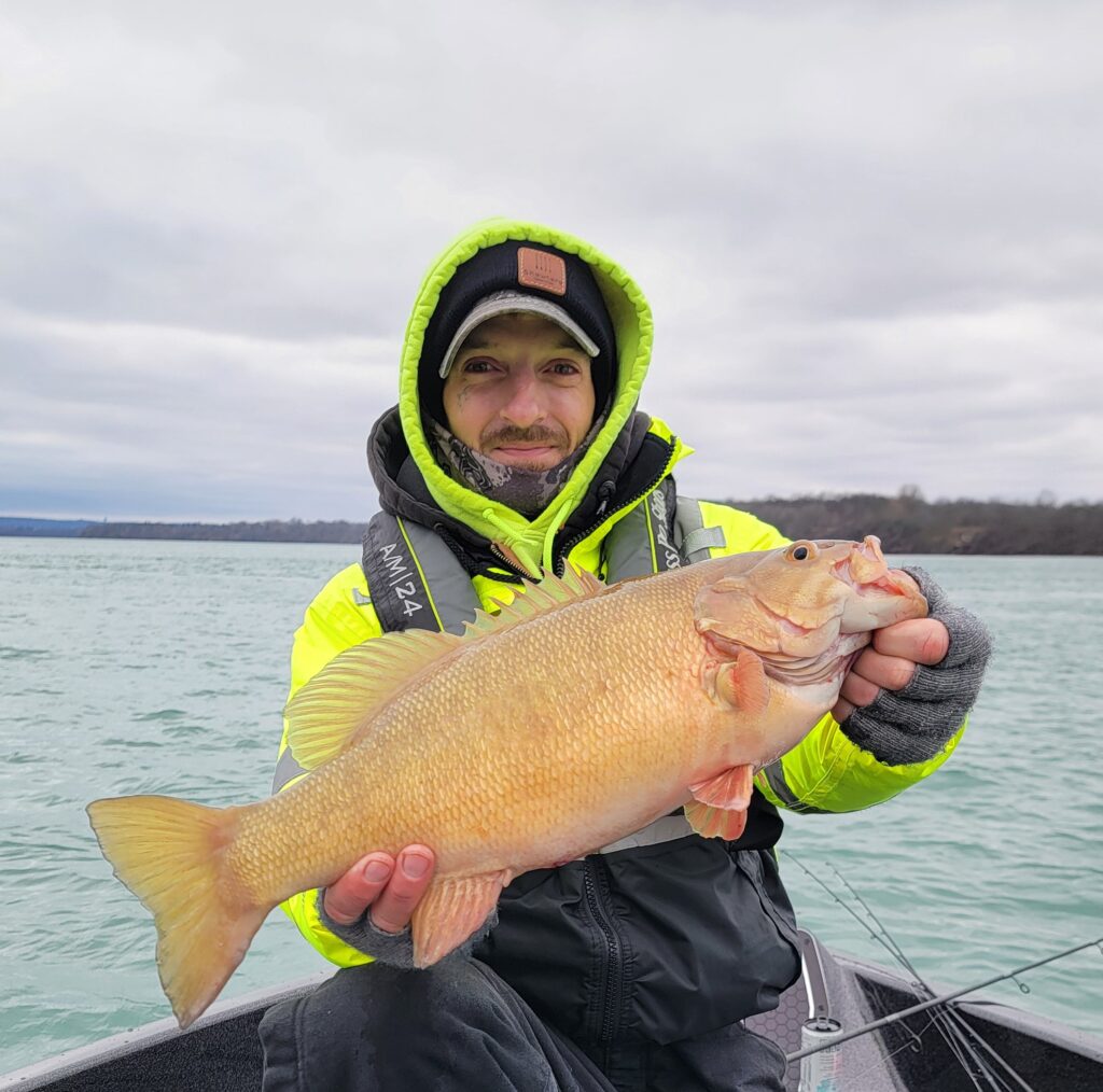 A Big Niagara River Smallmouth Bass