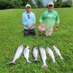 2024 Schultz Sportfishing Photo of a Lake Ontario Salmon Limit
