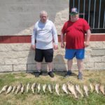 2024 Schultz Sportfishing Photo of a Walleye Limit